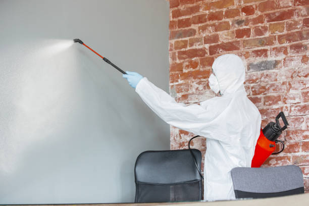 Best Commercial Mold Inspection  in USA